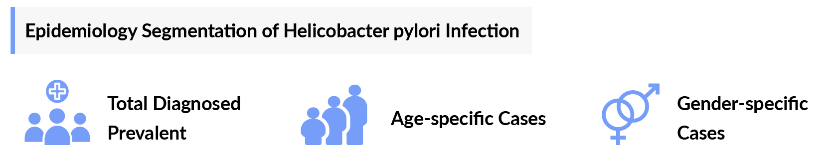 Epidemiology Segmentation of Helicobacter pylori Infection